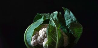 Curried Coconut and Cauliflower Cakes