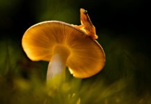 The Future of Sustainable Construction