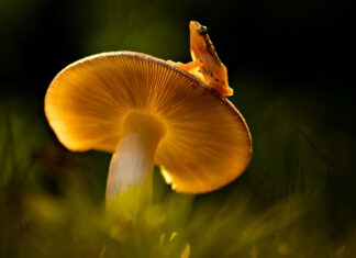 The Future of Sustainable Construction