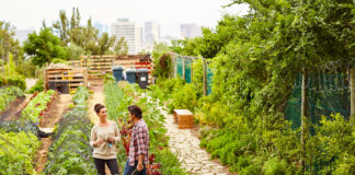 A Little Soil for the Soul