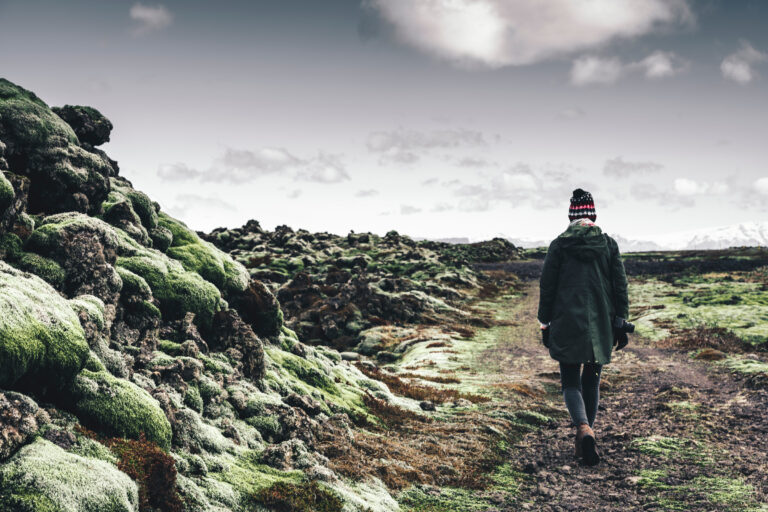 MADE IN ICELAND