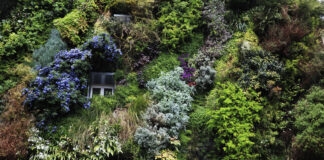 MM- The Inside Garden