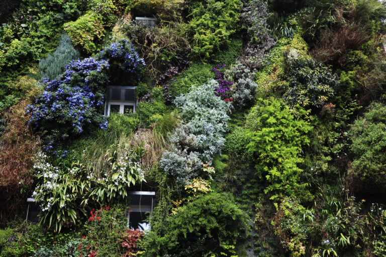 MM- The Inside Garden