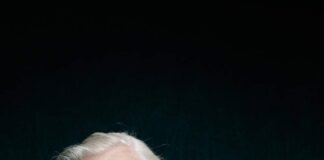 Attenborough and the Giant Dinosaur