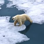 iStock_000017676947_Large