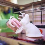 iStock_000081934997_Large