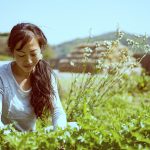 iStock_000092466041_Large