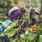 iStock_000092692123_Large