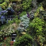 iStock_000092993479_Large