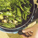 istock_000081015031_large