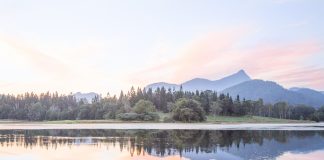 Influencing Conservation: The Camera as a Change Agent