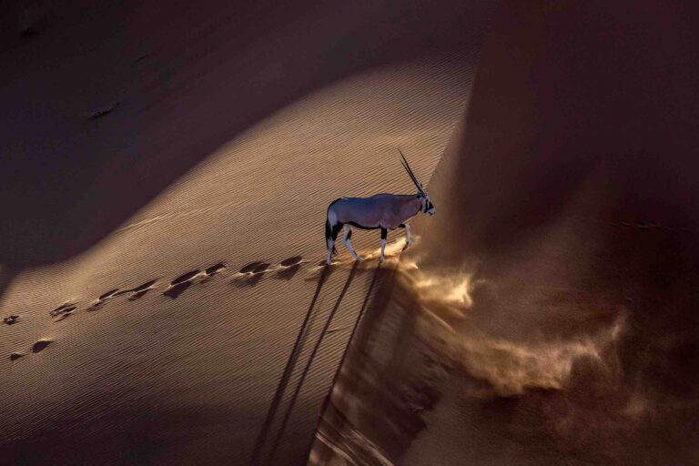 Art Wolfe Photography and Location Tips in Namibia