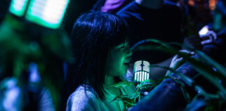 Lighting Up The Canopy: Singapore’s Rainforest Night Walk