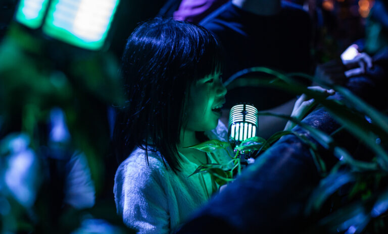 Lighting Up The Canopy: Singapore’s Rainforest Night Walk