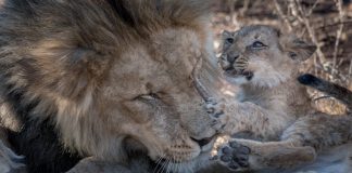 Father’s Day: Make it an Adventure!