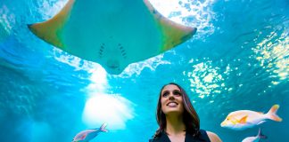 Creative Collaborations for Nature: Whales, Drones and the Future of Marine Mammal Research Dr. Vanessa Pirotta at TEDx