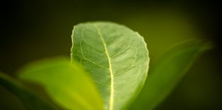 Craft Beer isn’t the only Brew Supporting Communities