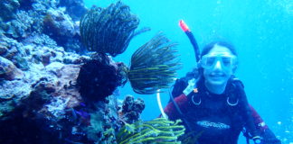 Supporting A Girl’s Love of the Ocean!