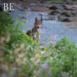 121635753_373730327006236_4066291265556862383_n