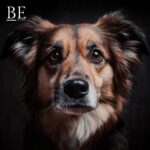 123016859_825668098248376_1413810570826859622_n