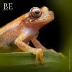 123813718_661388008082953_4426736184313345029_n