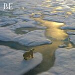 124307089_385161512685956_365005444334843552_n