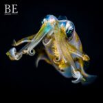 125211810_1592444030937561_7199099620564097361_n