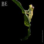 125381612_216397546569718_2198167605903665813_n