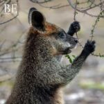 125504702_3442714899180777_8860251660515448452_n