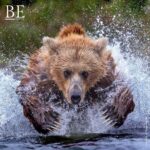 126620861_815350939199146_8416286686346832392_n