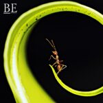 126848323_224226562642463_5818025599845905797_n