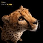 127065038_3414785201953579_7497889774446004543_n