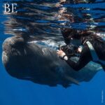 128194857_374198893851167_4662361255657915514_n