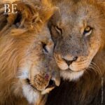 130470684_1369890350041552_1344072337477273926_n