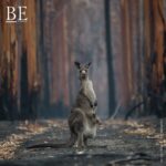 131931699_832694167580142_5454684413242397250_n