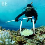 133827649_848044735983219_6001228302446989368_n