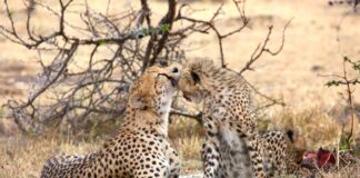 Writing for Photographers