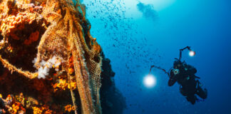 A Remote Operation to Catch Ghosts