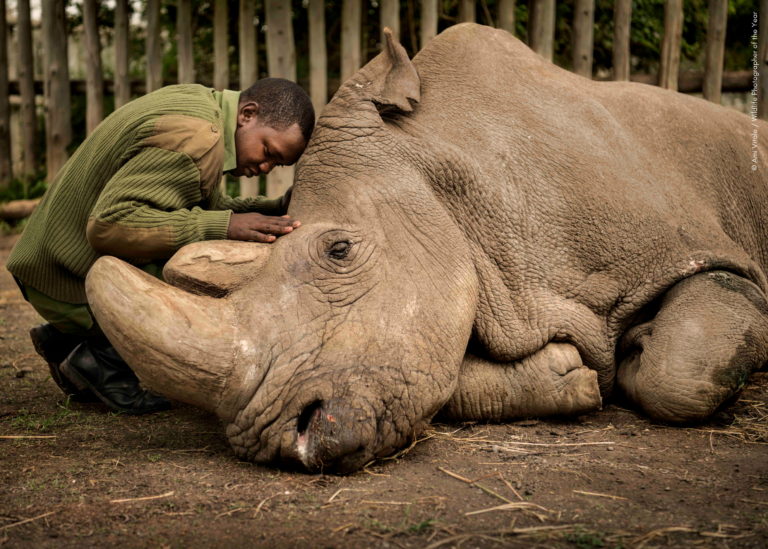 WPY People’s Choice 2020