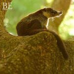 133915251_859032848231521_1904582115591373080_n