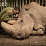 134708079_730974127801943_3818501958994523776_n