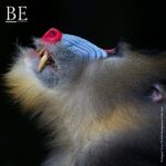 134755923_863597207767975_820460852921025407_n