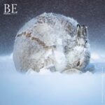 135651806_401267194452348_3147790956235604849_n