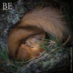 136127035_1132780353819936_3524531892217259243_n