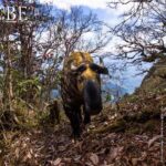 137094217_110797624261125_7278251682897663236_n