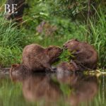 137342769_2940009542955193_9163421747133321649_n