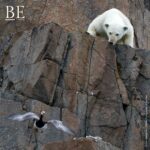 137543365_190435226101275_2460630542411171607_n