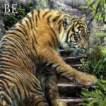 137620041_322643195675526_8100185493738673487_n