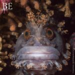 138283546_479751836758492_1524056881435504632_n