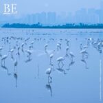 138847572_680426792629665_7468955409367897502_n